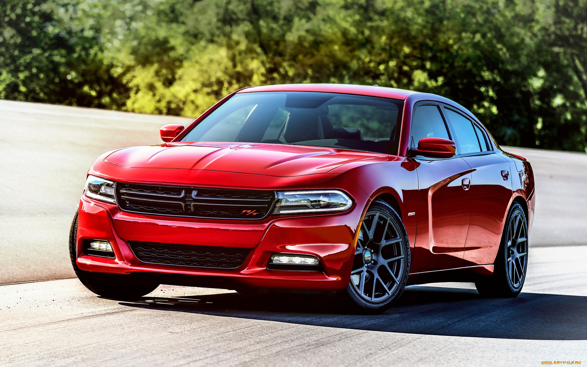 Авто года фото. Dodge Charger 2015. Додж Чарджер 2015. Додж Чарджер r/t 2015. Додж Чарджер 2016.